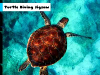 https://www.guolikb.com/game/turtle-diving-jigsaw