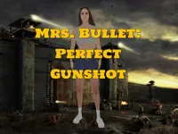 https://www.guolikb.com/game/mrs-bullet-perfect-gunshot
