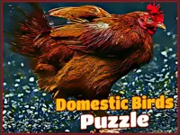 https://www.guolikb.com/game/domestic-birds-puzzle
