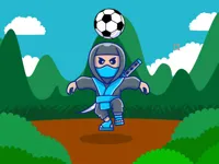 https://www.guolikb.com/game/ninja-head-ball