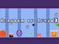 https://www.guolikb.com/game/kingdom-of-ninja-3