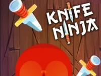 https://www.guolikb.com/game/knife-ninja