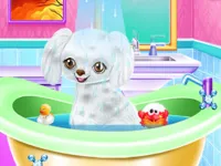 https://www.guolikb.com/game/my-new-poodle-friend