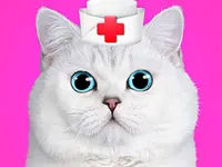 https://www.guolikb.com/game/cat-pet-doctor-dentist