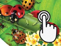 https://www.guolikb.com/game/ladybug-clicker