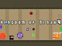 https://www.guolikb.com/game/kingdom-of-ninja-4