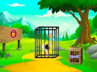 https://www.guolikb.com/game/rescue-the-ostrich-chick