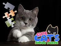 https://www.guolikb.com/game/cute-cats-jigsaw-puzzle