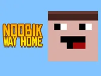 https://www.guolikb.com/game/noob-way-home