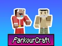 https://www.guolikb.com/game/parkour-craft-noob-steve