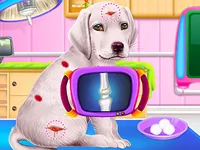 https://www.guolikb.com/game/labrador-puppy-daycare-salon