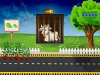 https://www.guolikb.com/game/cow-escape