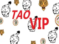 https://www.guolikb.com/game/taovip