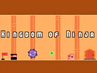 https://www.guolikb.com/game/kingdom-of-ninja