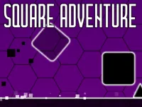 https://www.guolikb.com/game/square-adventure