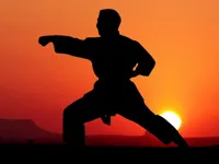 https://www.guolikb.com/game/karate-sunset-warriors
