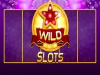 https://www.guolikb.com/game/wild-slot