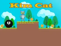 https://www.guolikb.com/game/kim-cat