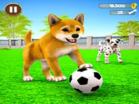 https://www.guolikb.com/game/my-virtual-dog-care