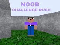 https://www.guolikb.com/game/noob-challenge-rush