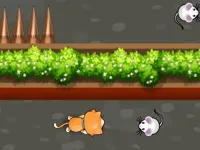 https://www.guolikb.com/game/cat-trap-labyrinth-escape