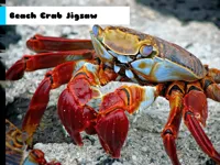 https://www.guolikb.com/game/beach-crab-jigsaw