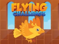 https://www.guolikb.com/game/flying-challenge