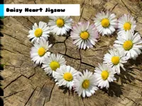 https://www.guolikb.com/game/daisy-heart-jigsaw