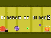 https://www.guolikb.com/game/kingdom-of-ninja-2