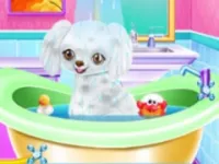 https://www.guolikb.com/game/my-new-poodle-friend-pet-care-game