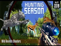 https://www.guolikb.com/game/hunting-season