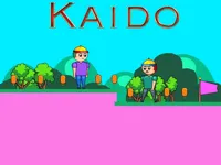 https://www.guolikb.com/game/kaido