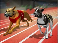 https://www.guolikb.com/game/racing-dog-simulator-crazy-dog-racing-games