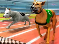 https://www.guolikb.com/game/dogs3d-races