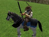 https://www.guolikb.com/game/reiten-simulator