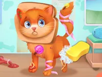 https://www.guolikb.com/game/cute-pet-doctor-care