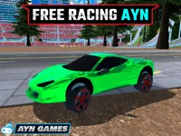 https://www.guolikb.com/game/free-racing-ayn