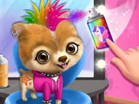 https://www.guolikb.com/game/rock-star-animal-hair-salon