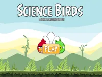https://www.guolikb.com/game/science-birds