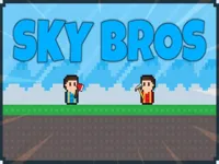 https://www.guolikb.com/game/sky-bros