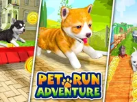 https://www.guolikb.com/game/pet-run-adventure-puppy-run