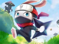 https://www.guolikb.com/game/ninja-rabbit