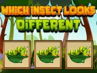 https://www.guolikb.com/game/which-insect-looks-different
