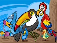https://www.guolikb.com/game/exotic-birds-coloring