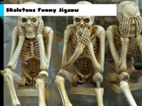 https://www.guolikb.com/game/skeletons-funny-jigsaw