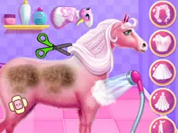 https://www.guolikb.com/game/princess-horse-caring