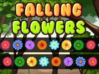 https://www.guolikb.com/game/falling-flowers