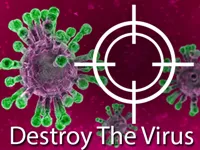 https://www.guolikb.com/game/destroy-the-corona-virus