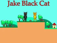 https://www.guolikb.com/game/jake-black-cat