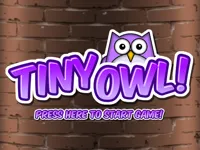 https://www.guolikb.com/game/tiny-owl